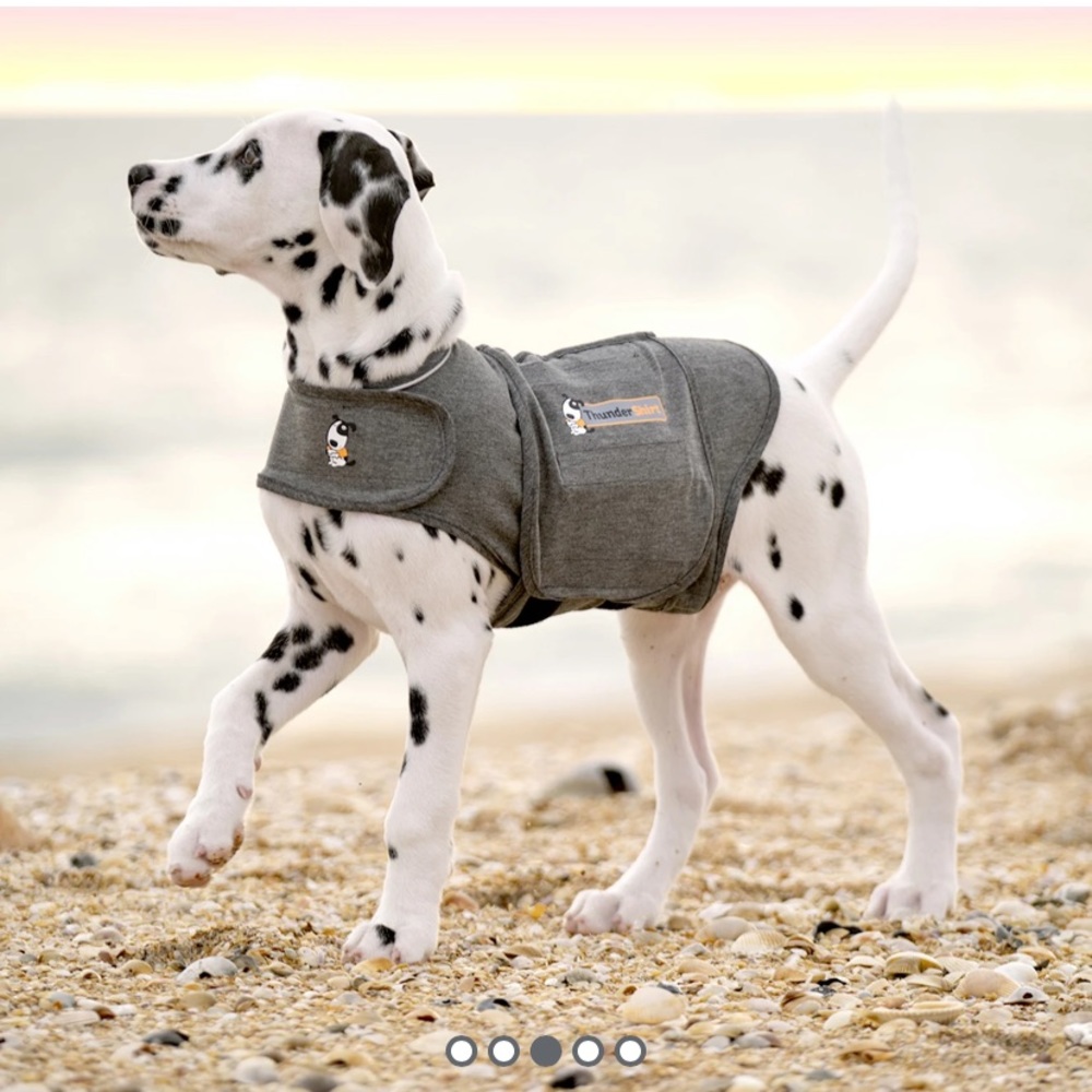 EUC Dog ThunderShirt